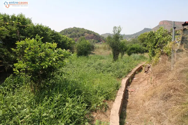TERRENO DE 2 HANEGADAS ENTRE PETRES Y ALBALAT TARONGERS — 8