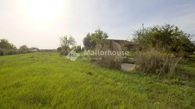 Finca rústica 1 habitación 68m² en venta - Campanet-Buger - foto 4