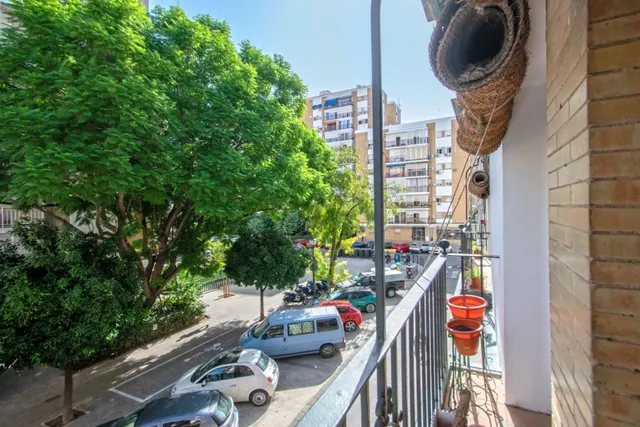 Oportunidad única en Triana — 14