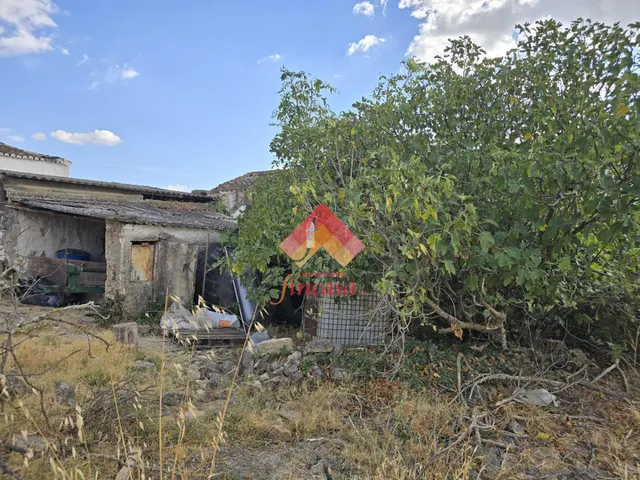 Finca rústica con vivienda para rehabilitar — 7