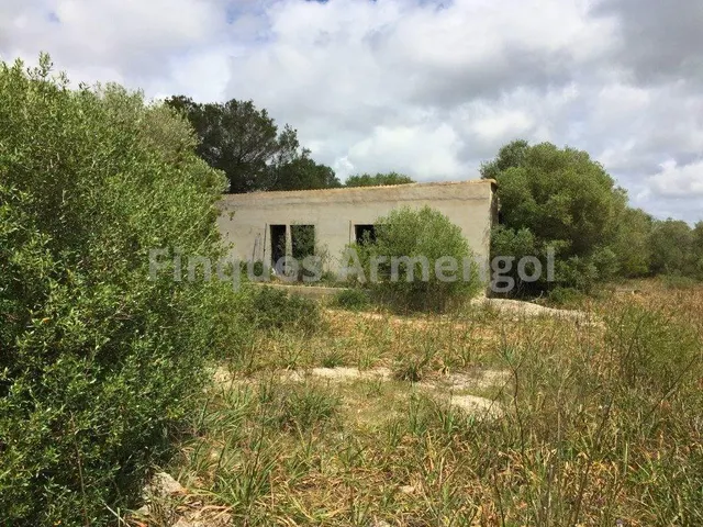 C-7048 GRAN FINCA EN CIUTADELLA — 20