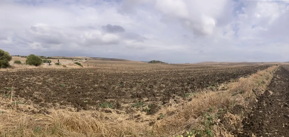 PARCELA RÚSTICA EN LA CARRETERA VEJER- EL PALMAR