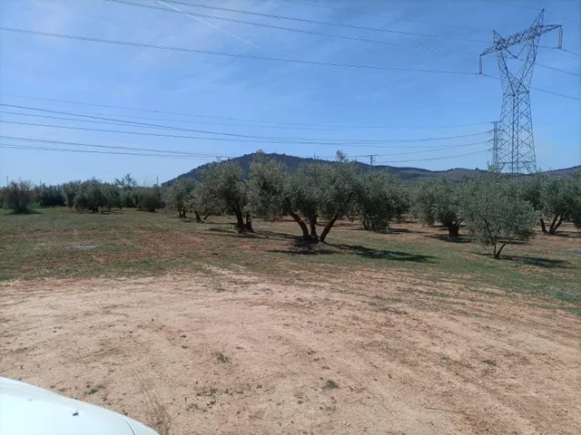 Finca rústica en venta — 14