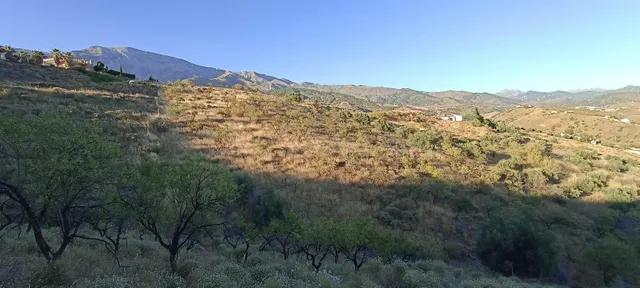 PARCELA RÚSTICA EN PUERTO SEDELLA
