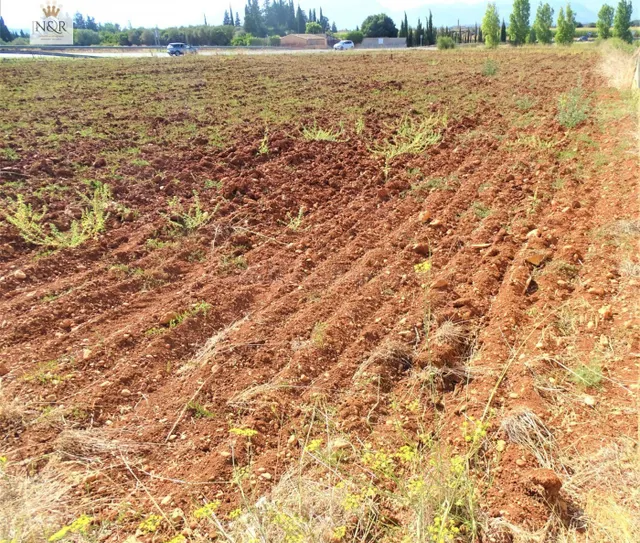 FINCA RÚSTICA EN LLUBÍ CON AGUA - foto 4