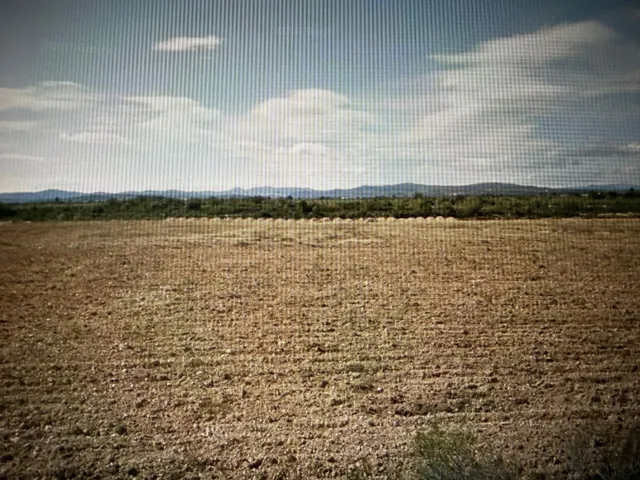 Terreno rustico con caseta - Vinaros - Castellón — 8