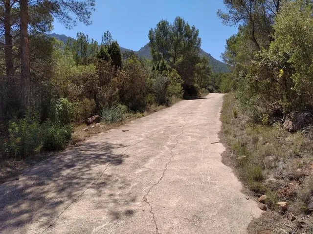 FINCA RUSTICA EN VILLAFAMES CON CASETA DE APEROS - foto 4