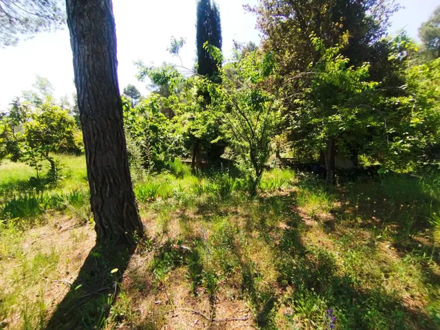 TERRENO URBANO, LLANO, CON MURO Y AGUA IDEAL PARA CONSTRUIR — 7