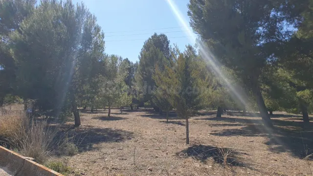 Terreno rústico para proyecto en Benejama (Alicante) — 2