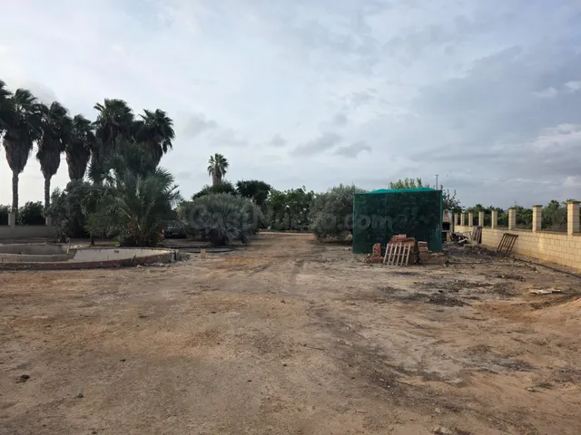 Espectacular finca rústica con proyecto de construcción y licencia en Los Montesinos — 3