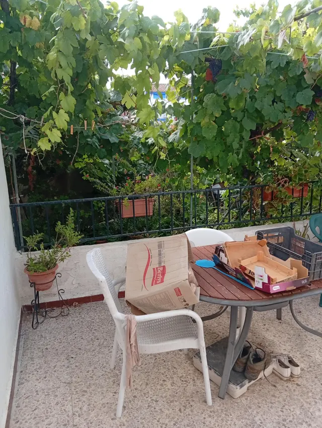 ¡Gran oportunidad en La Villa! Solar urbano de 1600 m2 en Ayamonte — 33
