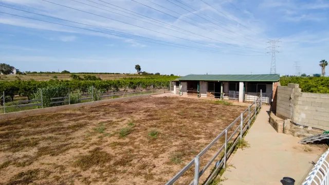 Rancho en Carlet — 23