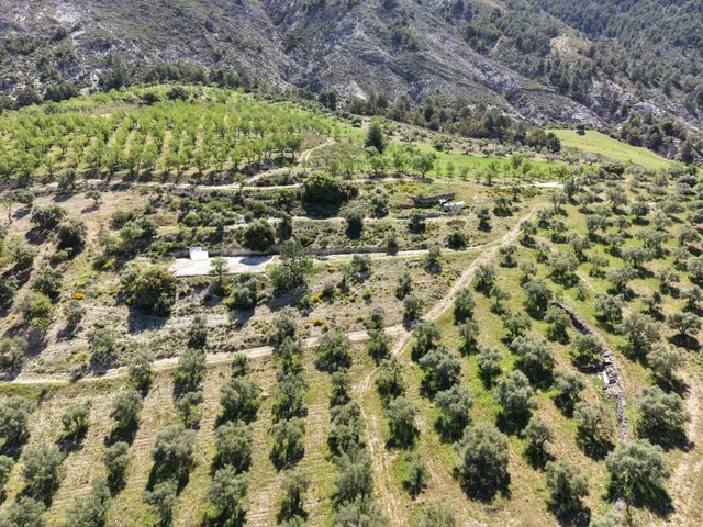 Magnífica finca de 400 olivos en Monachil — 2