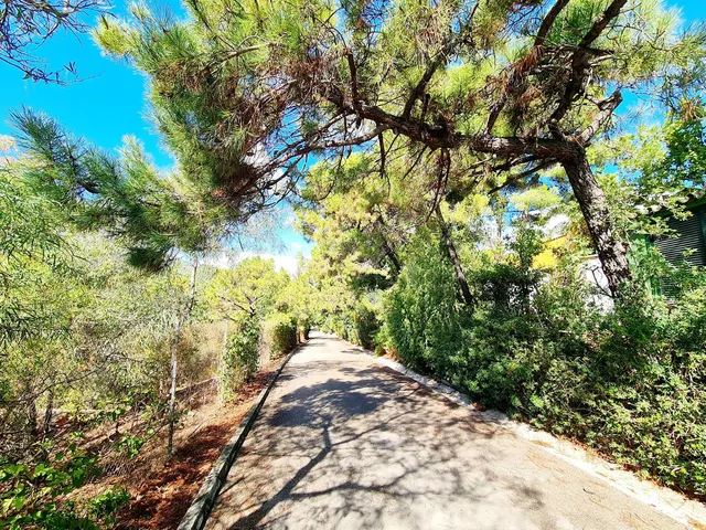Parcela 600m² en venta - Puerto Sol-Los Almendros-El Tomillar — 7