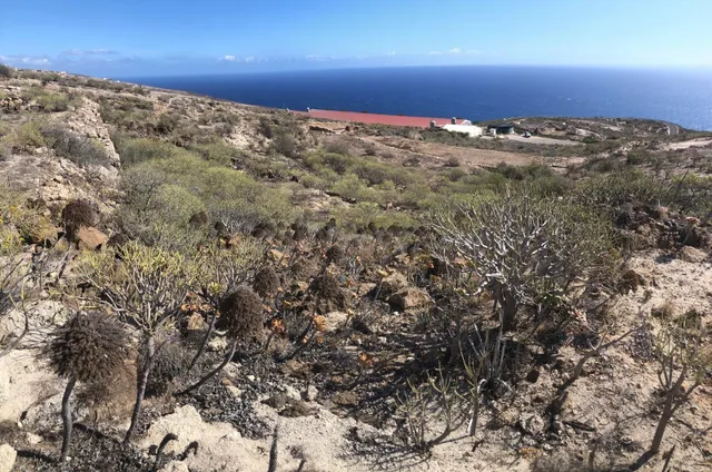Terreno del Tablado al Escobonal - foto 4