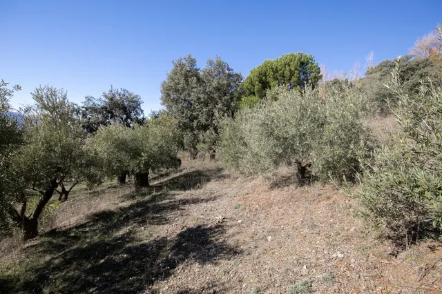 Cortijo La Jara – Un refugio de ensueño en La Alpujarra — 24