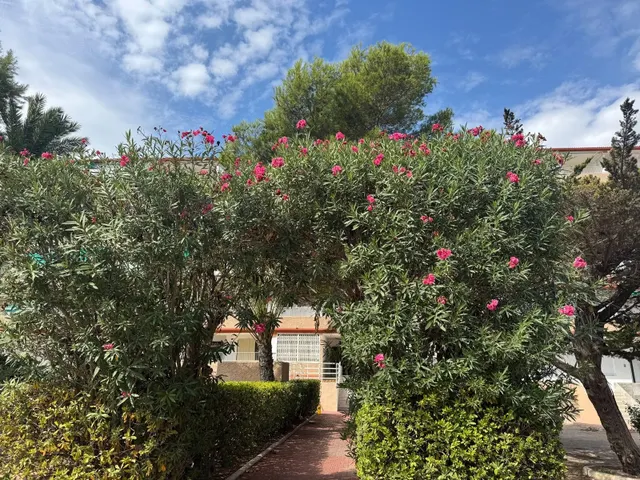 Apartamento 1 habitación 27m² en venta - Urbanizaciones — 12