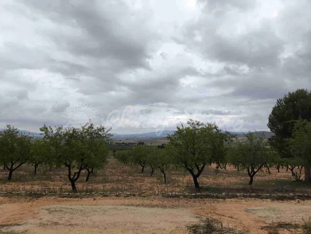 Suelo urbanizable en Venta en Yecla Murcia