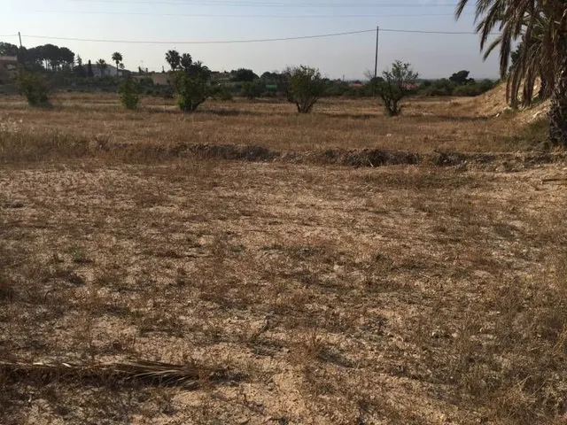 Parcela urbana de casi  30.000m2 en Elche - Zona Pena Las Aguilas — 13