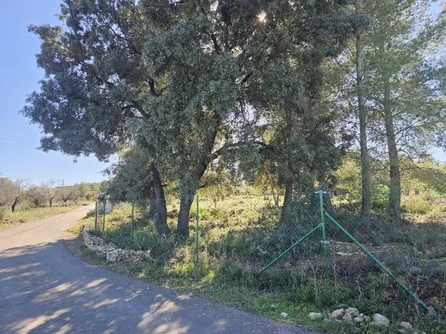 Terreno para recreo vallado y con acceso por camino asfaltado — 11