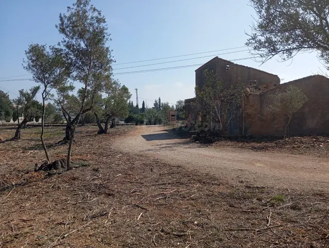 Oportunidad Única en L'Ampolla: Finca Rústica de 12,182 m2 - foto 2