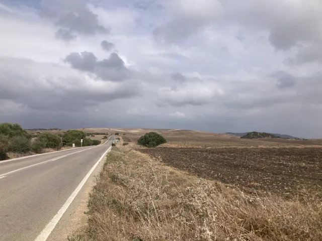 PARCELA RÚSTICA EN LA CARRETERA VEJER- EL PALMAR — 5