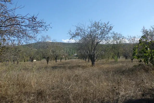 Finca La Farola Ontinyent - foto 2