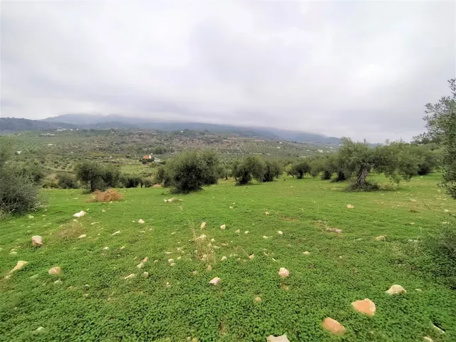 Espectacular finca en la localidad de Alozaina — 11