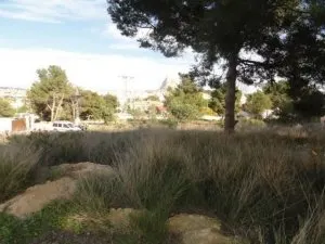 Terreno urbano en venta - Gargasindi - foto 5