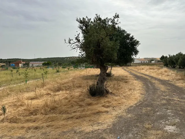 VENTA DE SOLAR INDUSTRIAL EN CHIMENEAS — 21