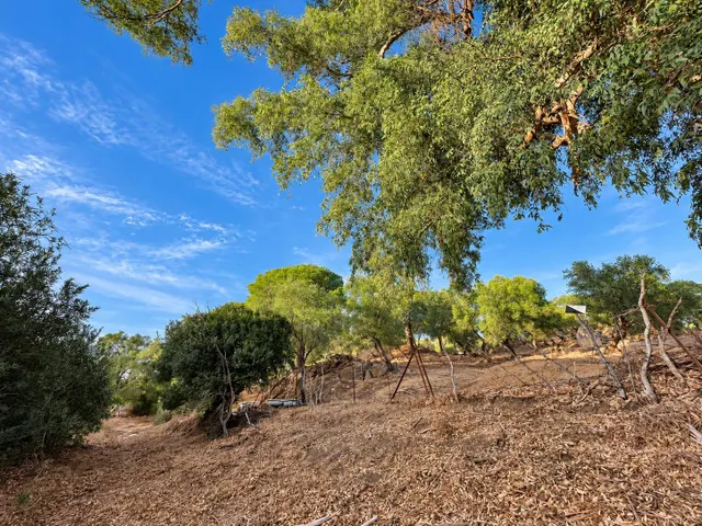 Finca rústica de 18.444 m2 con pozo y construcción catastrada en Alcalá de los Gazule — 36