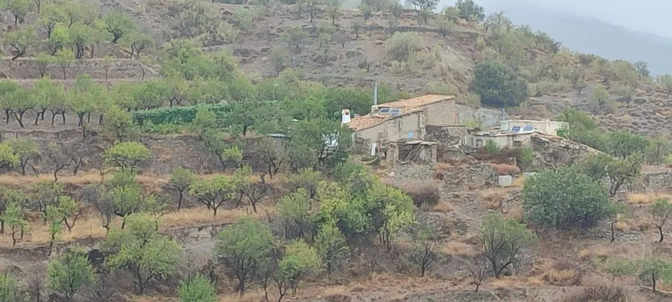 VENTA EN SIERRO ( ALMERÍA ) DE TERRENO PARA CAZA.