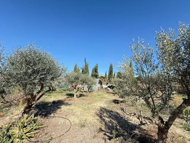 Encantador Chalet en Crevillente con Amplio Terreno y Piscina Propia — 27