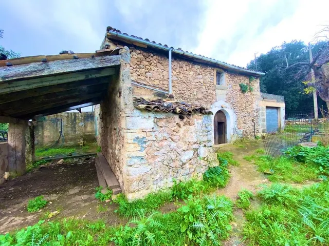 Finca rústica con caseta y 6000m2 para tus proyectos de campo — 11