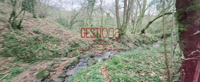 CABAÑA CON ARROYO,  PROYECTO Y CAMBIO DE USO EN LLANOS. PENAGOS — 6