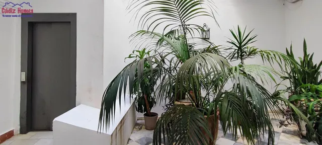 Preciosa vivienda en pleno centro.-Zona Plaza San Antonio — 23