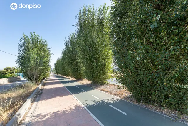 FINCA RÚSTICA A LA ENTRADA DE OGÍJARES. — 14