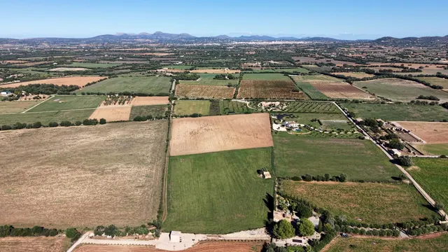 Finca rústica en Manacor con proyecto de ejecución — 11