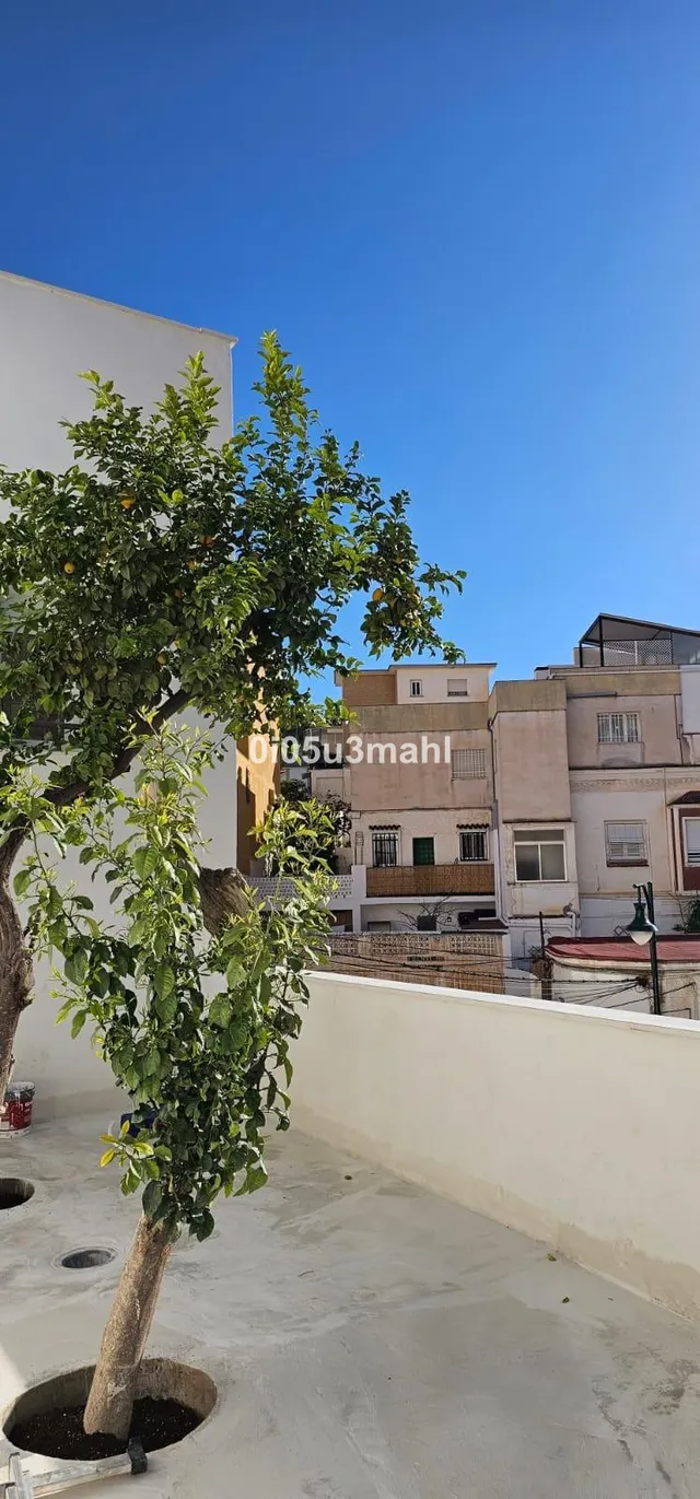 Apartamento 4 habitaciones 170m² en venta - Conde de Ureña-Gibralfaro — 11