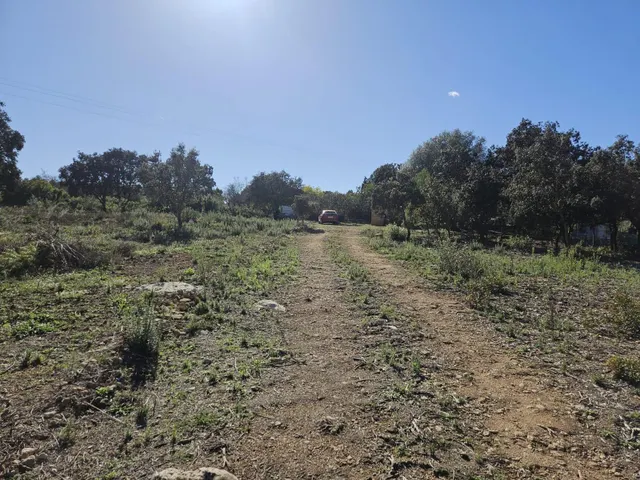 Terreno para recreo vallado y con acceso por camino asfaltado — 28