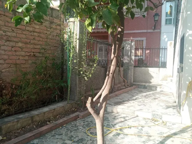 SE ALQUILA ESTUPENDO PISO AMUEBLADO — 18