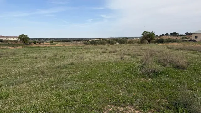 Se vende parcela rústica en Abengibre, Albacete. - foto 2