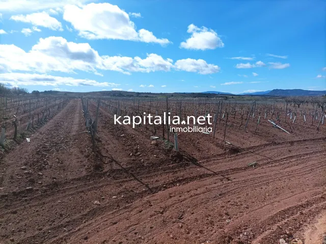 FINCA RUSTICA A LA VENTA — 2