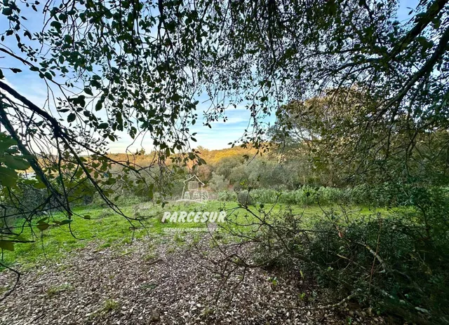 PARCELA EN ZONA ASSUAN MUY BIEN SITUADA DE 6000 m2 aprox. — 4