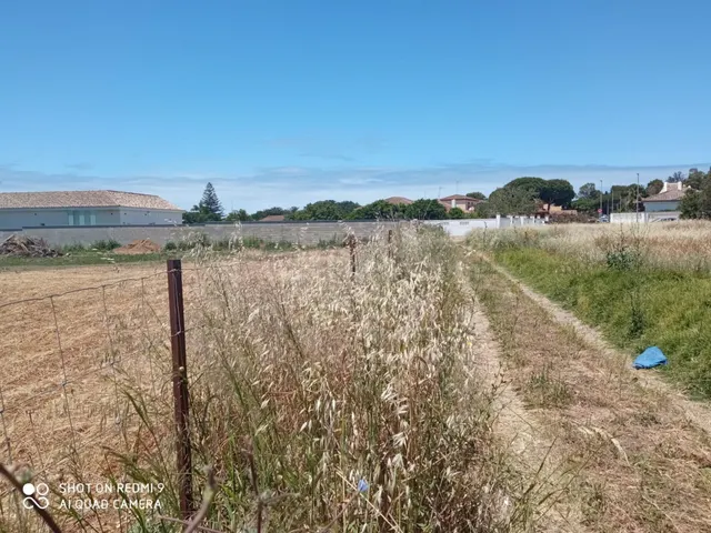 SE VENDE PARCELA EN CAMINO DEL ATUNERO, SEGREGADA - foto 3