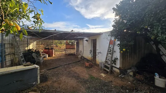 PARCELA -SEGREGADA CON REFUGIO EN ZONA PINAR DE LOS FRANCESES — 7