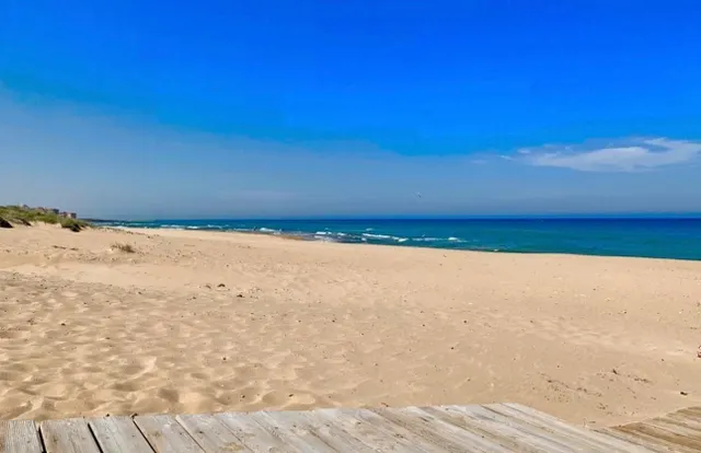 Apartamento 2 habitaciones 67m² en venta - Torre la mata — 42