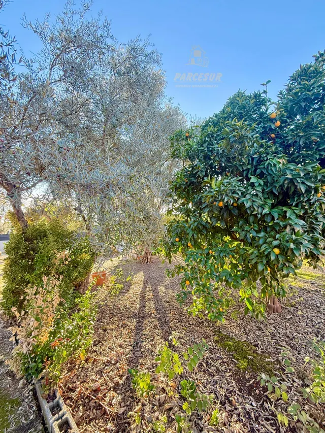 Casa de Campo en La Barquera, Córdoba — 35