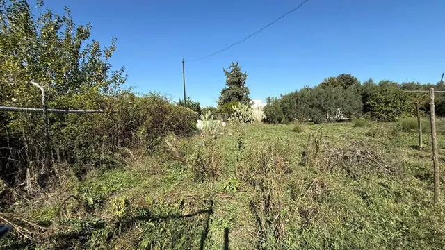 Oportunidad de Inversión en Terreno Rústico - La Alberca, Murcia — 7