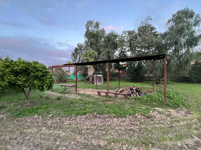 Parcela en mesas del corral — 6